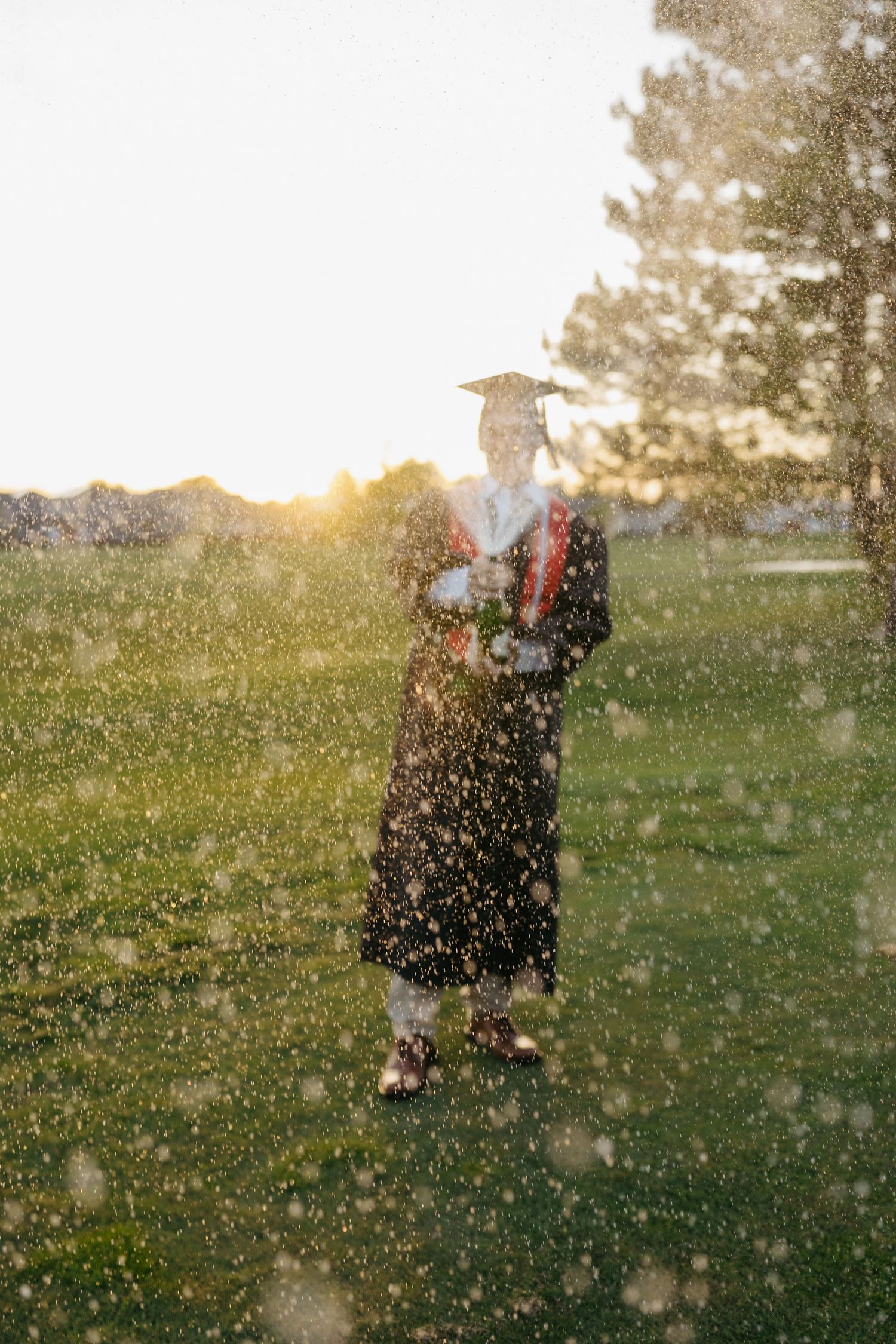 Graduate in cap and gown stands on green grass at sunset, surrounded by sparkling water droplets from a nearby sprinkler.