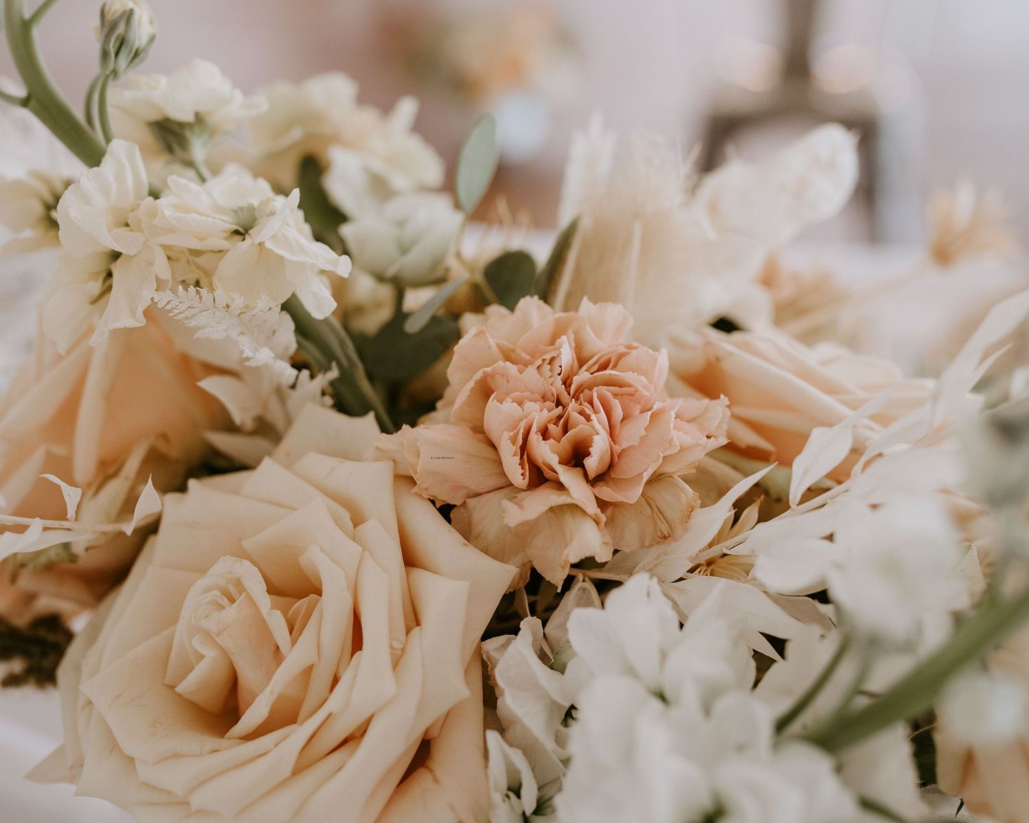 Delicate peachy roses and white flowers in soft focus romantic arrangement.