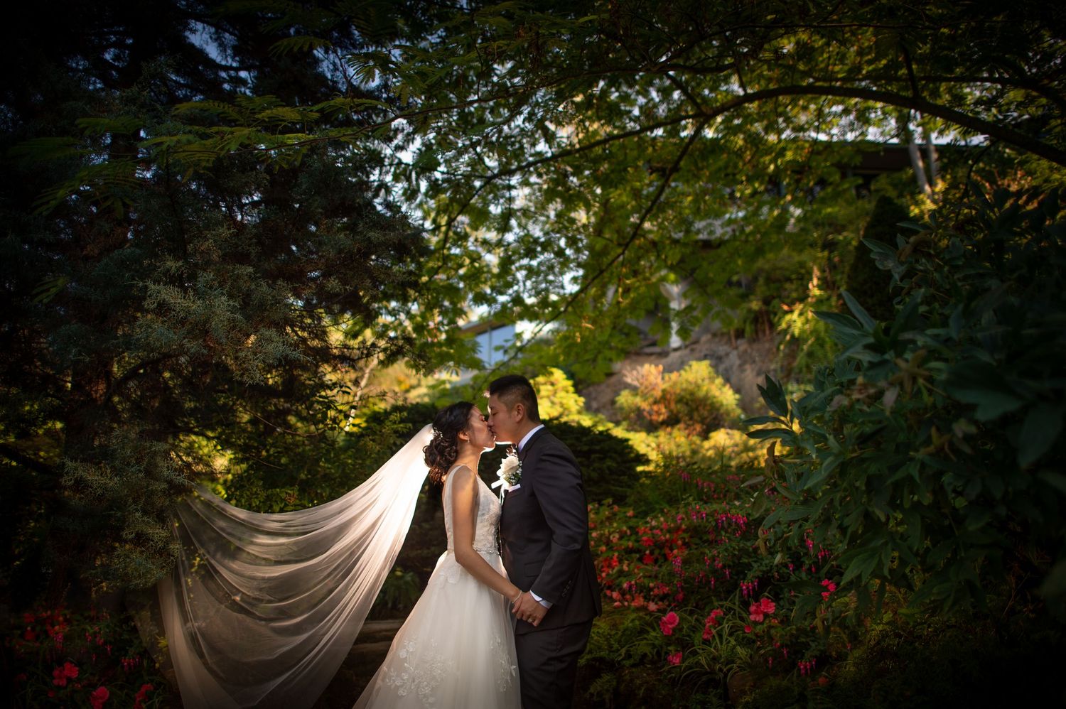 A romantic garden wedding scene with a flowing veil backlit by golden sunlight among lush greenery and red flowers.