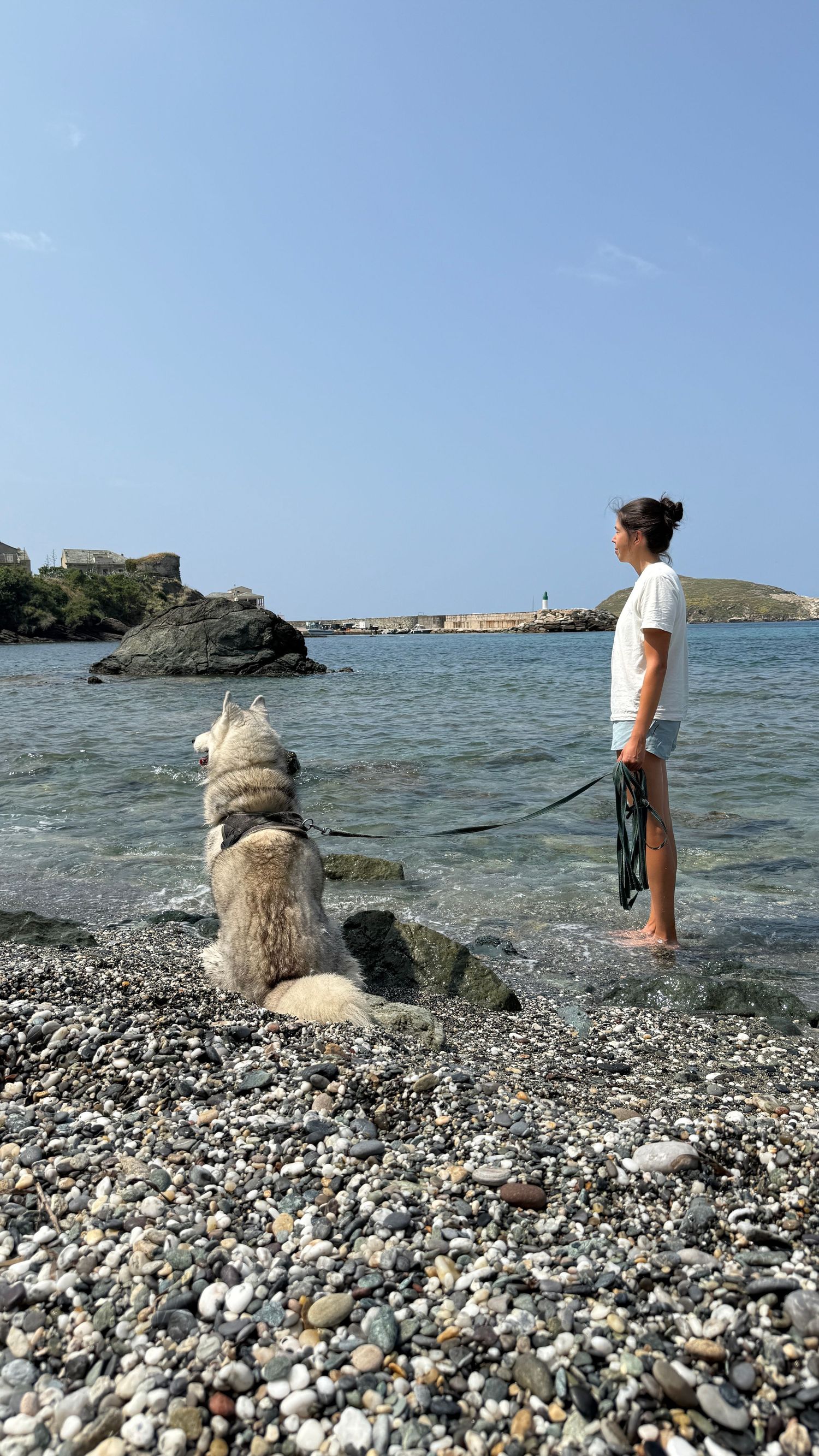 femme avec son chien sur une plage du cap corse en été