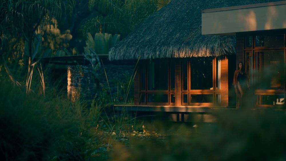 A cozy wooden cabin illuminated at night with warm lighting glowing through windows amidst lush tropical foliage.
