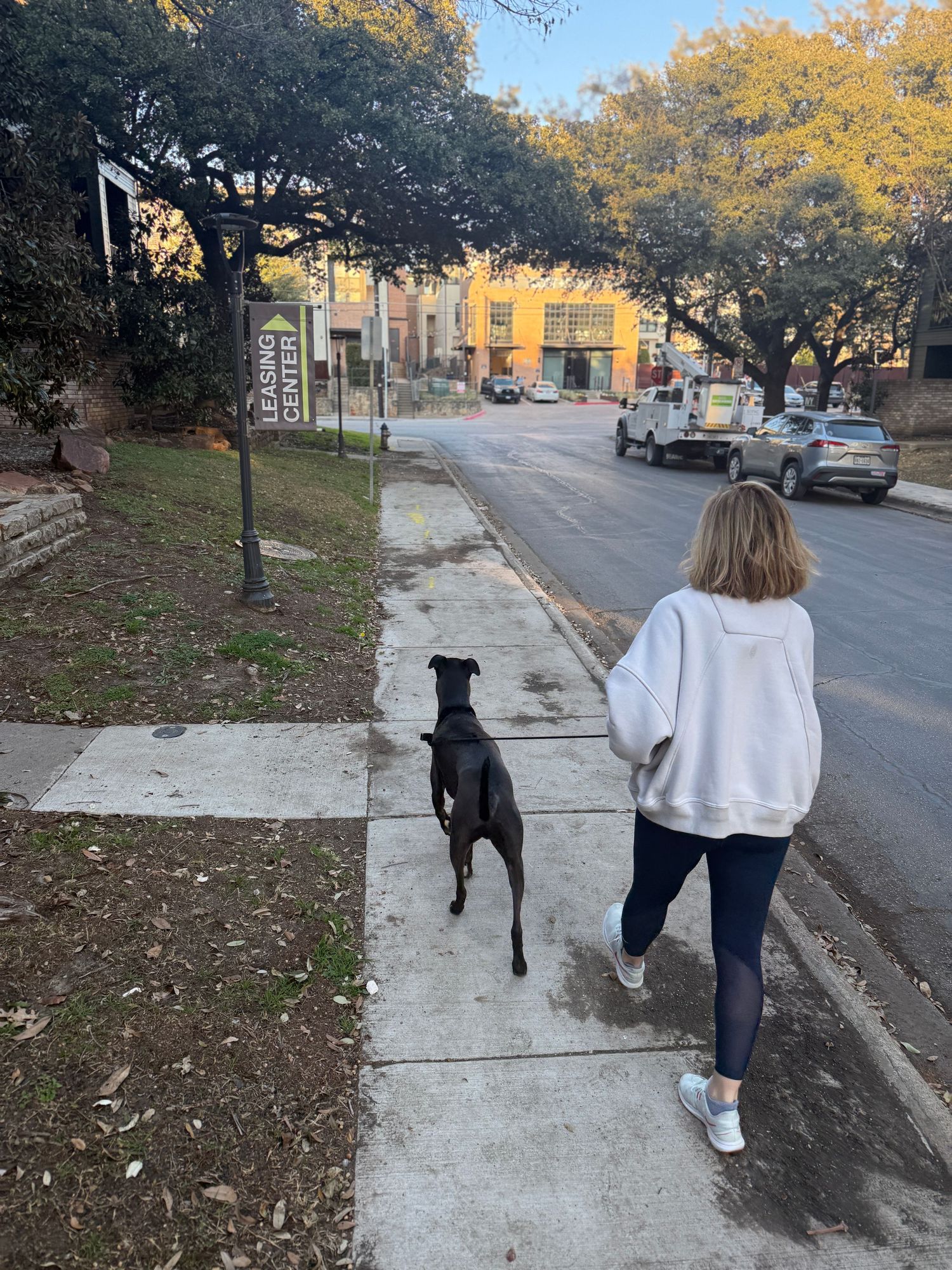 A sequence of photos showing a person walking a black dog on a sidewalk during autumn with golden trees in the background.