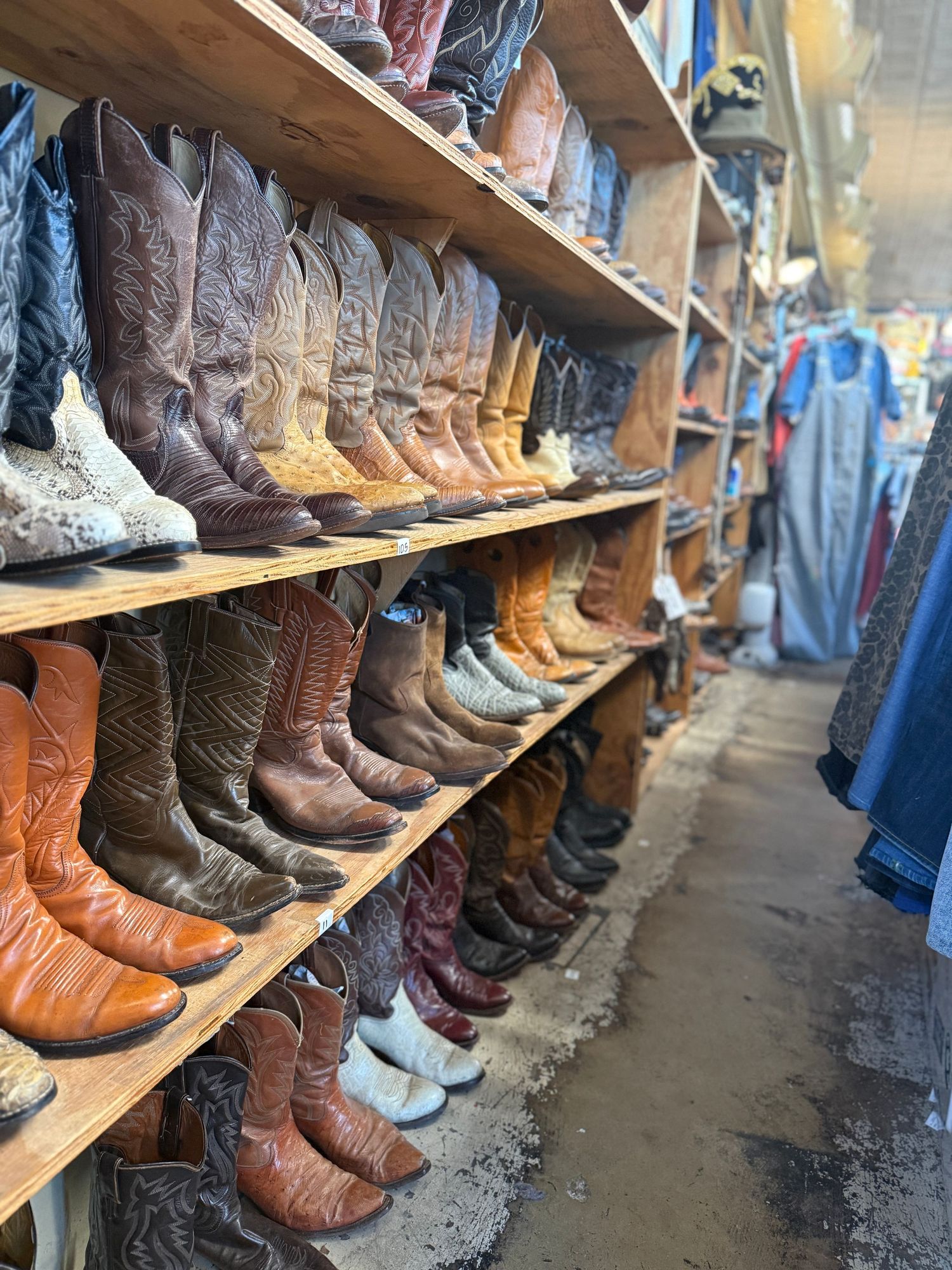 Rows of western cowboy boots displayed on wooden shelves in a retail store, showing various leather styles and colors.