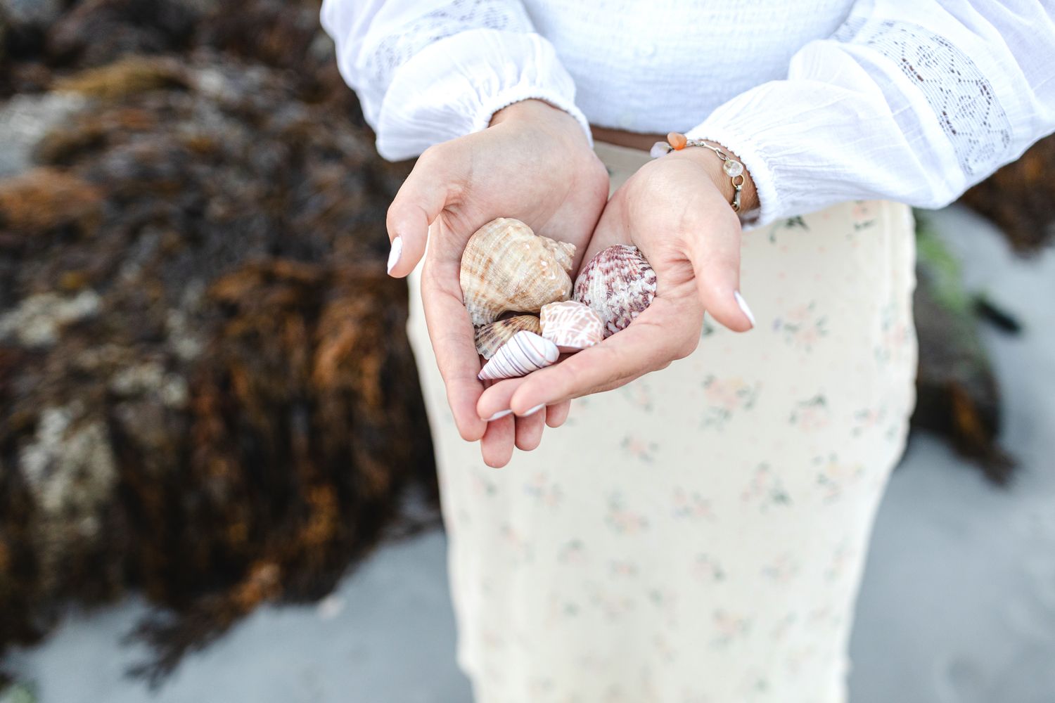 Teen girl wearing a white shirt and yellow floral skirt holds seashells in hand for senior photos at Wingaersheek Beach North Shore.