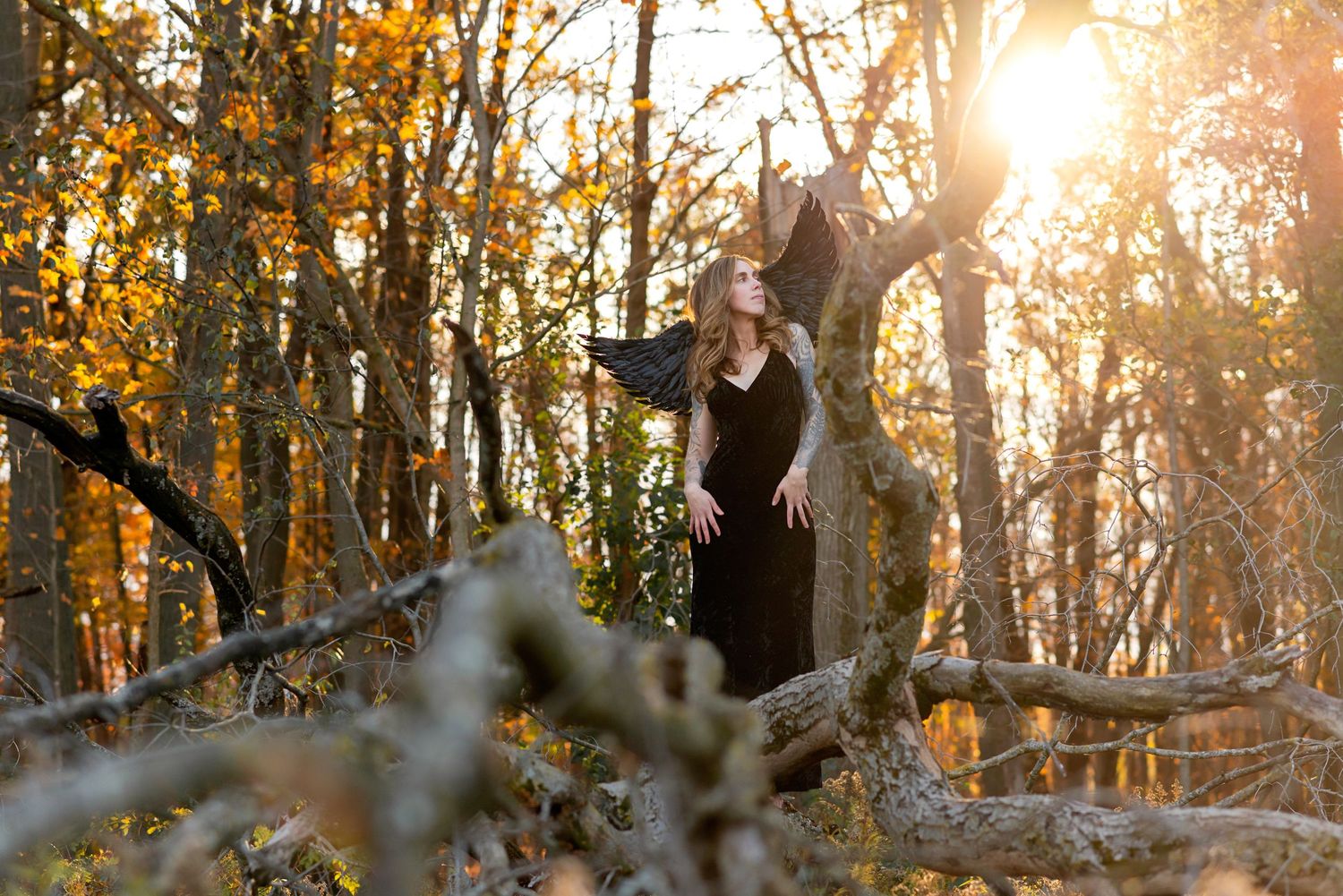 Woman in black dress poses gracefully among autumn forest trees with golden sunlight streaming through the branches at Komoka Provincial Par