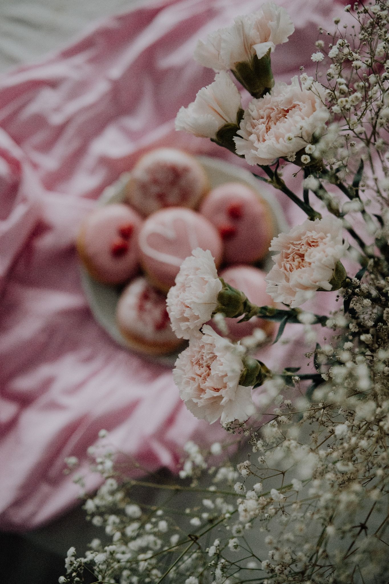 A delicate pink carnation flower with scattered petals lies against a white background.