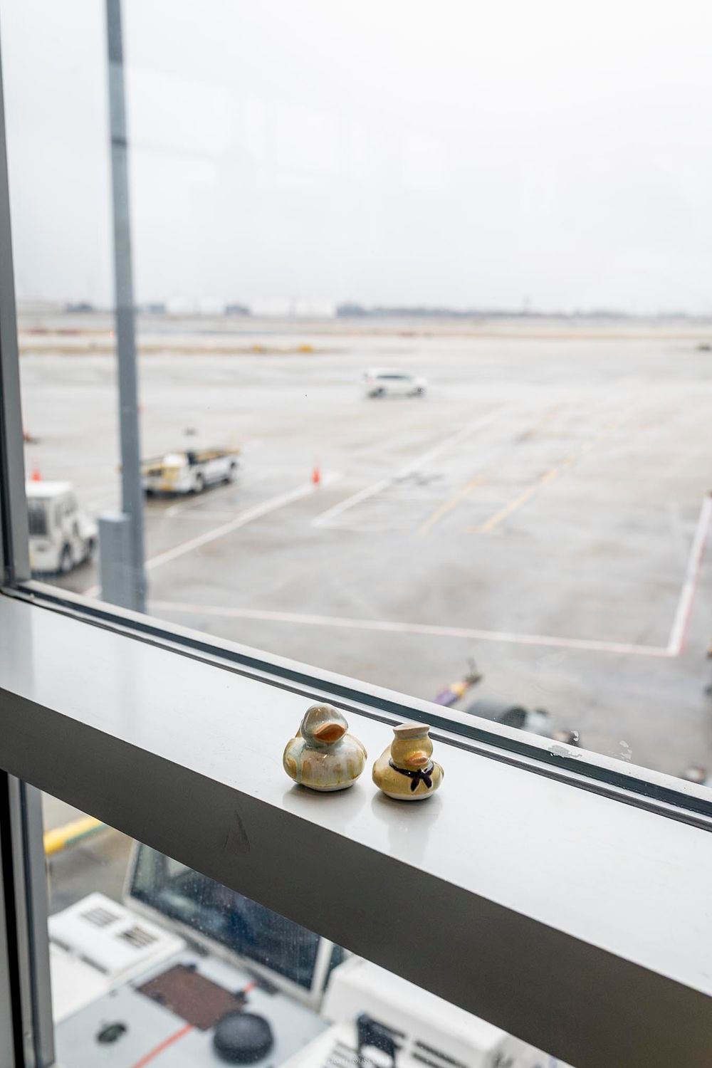 Two rubber ducks on airport terminal window sill overlooking wet tarmac and ground vehicles on overcast day.