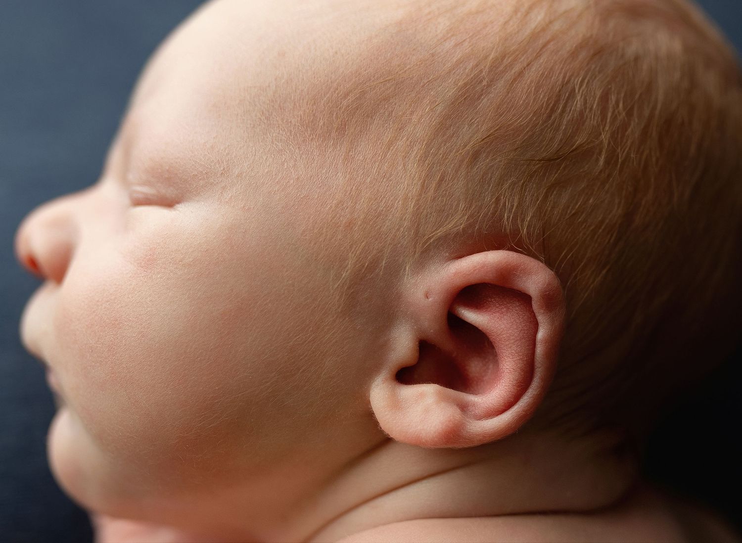 Macro ear shot. Greenville sc newborn photographer, Easley sc newborn photographer, Upstate newborn photographer, Greenville