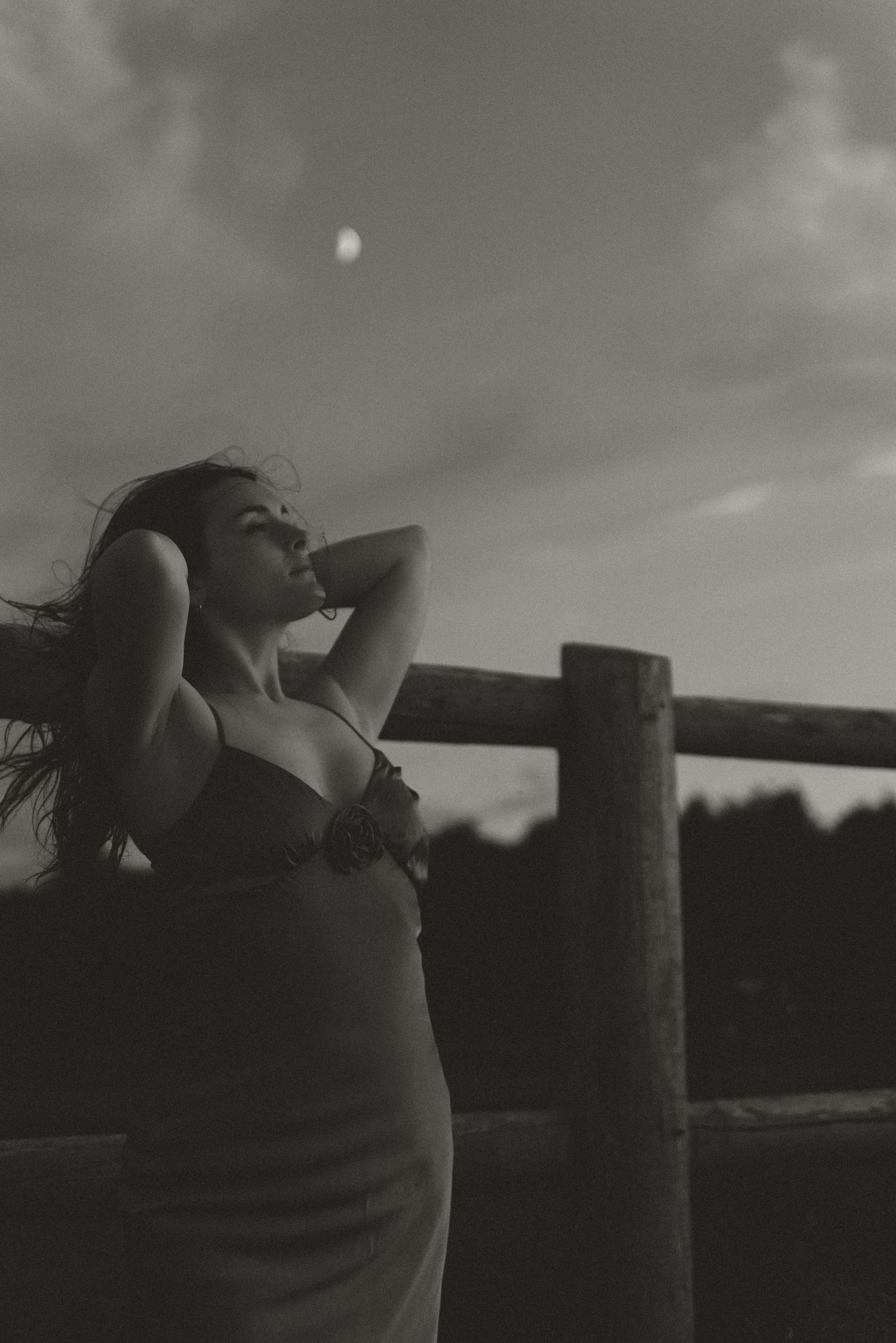 A black and white silhouette against a cloudy sky with a wooden fence in the background.