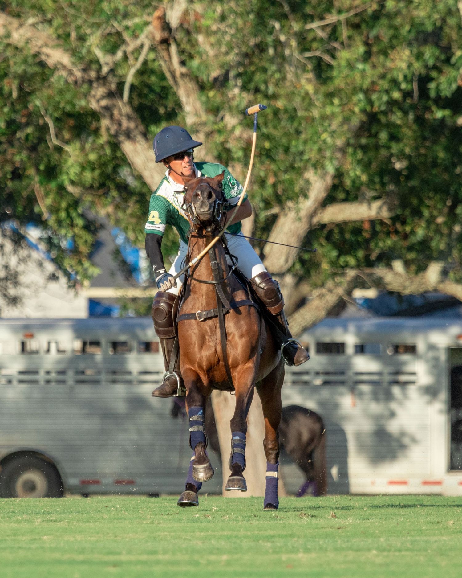 Polo