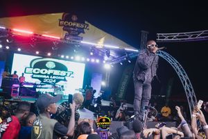 Performer stands on elevated platform during energetic concert with colorful stage lighting and enthusiastic crowd below.