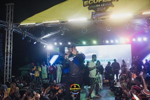 A concert performance on stage with bright lights, projections, and an energetic crowd enjoying the show at night.
