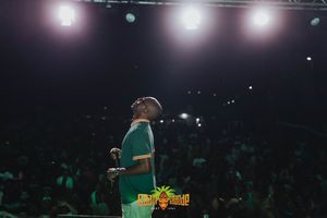 A performer in a green outfit stands on stage under dramatic spotlights with a dark crowd visible in the background.