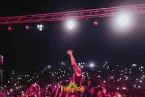 Concert crowd illuminated by red lights and stage lighting with person's raised fist silhouetted against dark background.