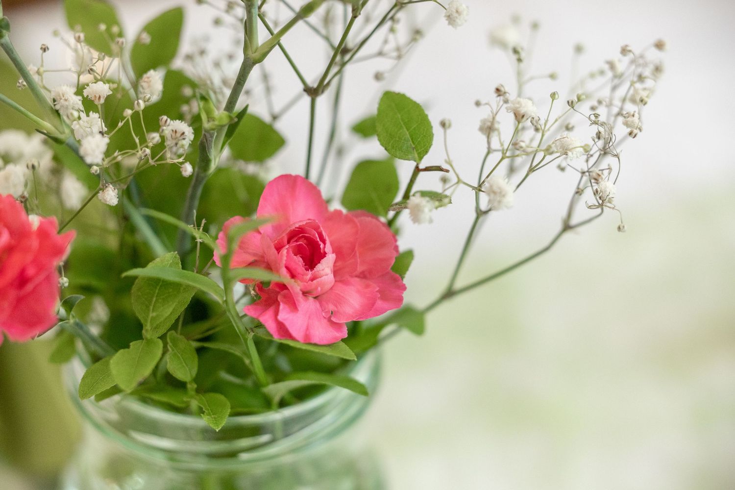 Pink roses and baby's breath arranged in a clear glass vase with green leaves on a soft white background.