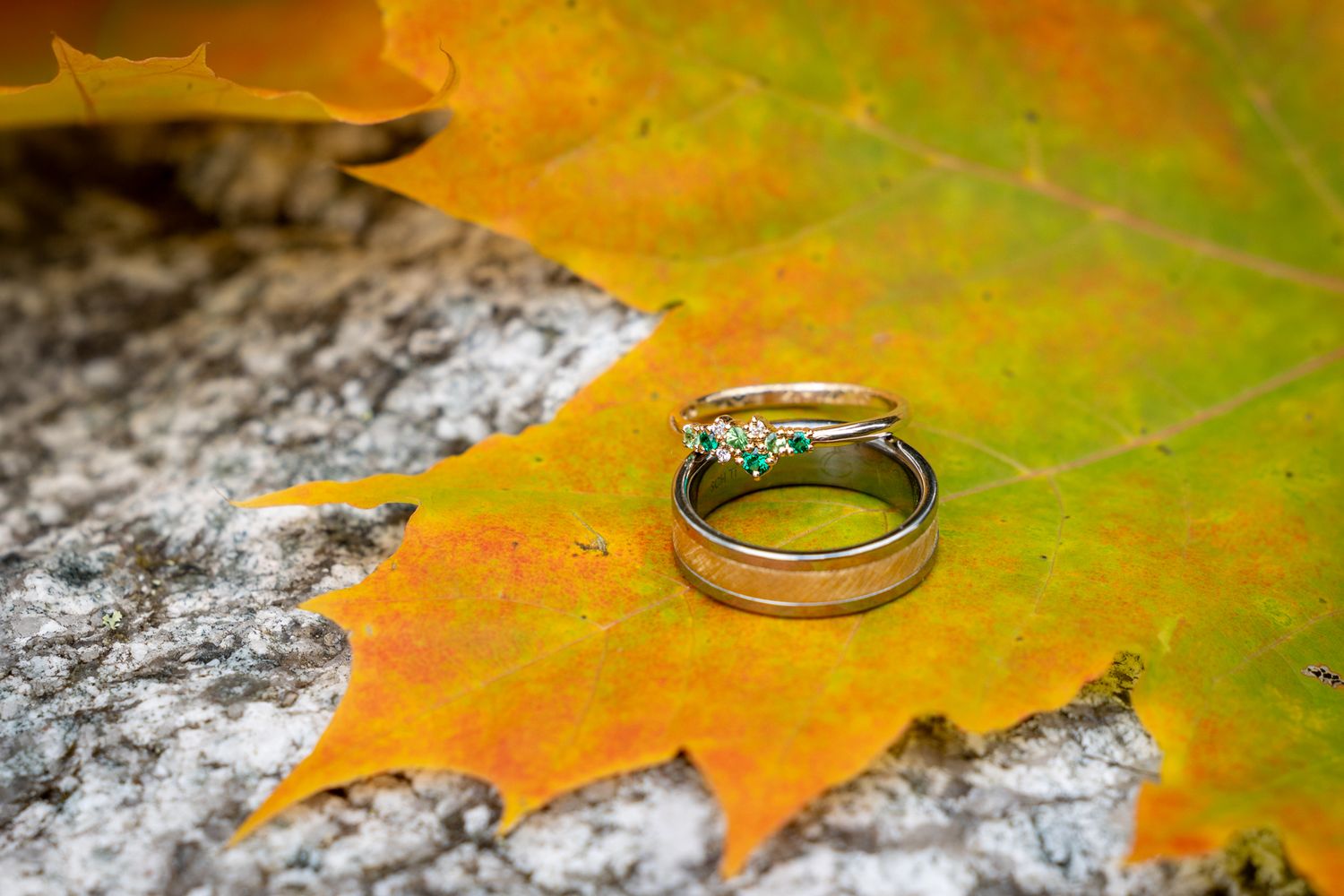 Two gold wedding rings resting on a vibrant orange autumn maple leaf on a stone surface.