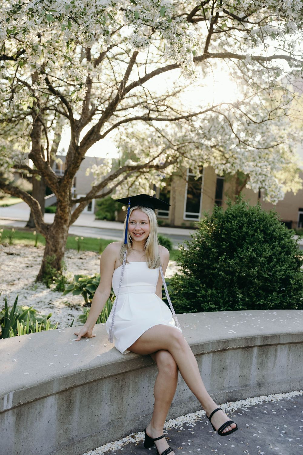 Springtime portrait under a blooming white tree with someone in a white sundress sitting on a stone wall.