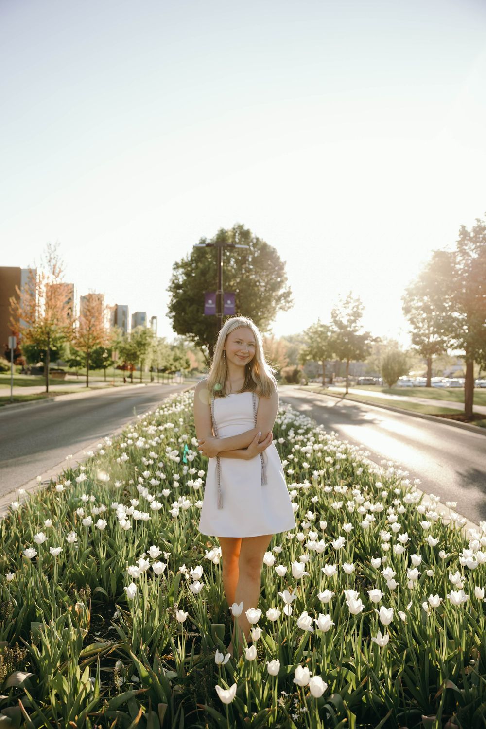 The sun sets behind a garden of white tulips along an urban street with apartment buildings in the background.