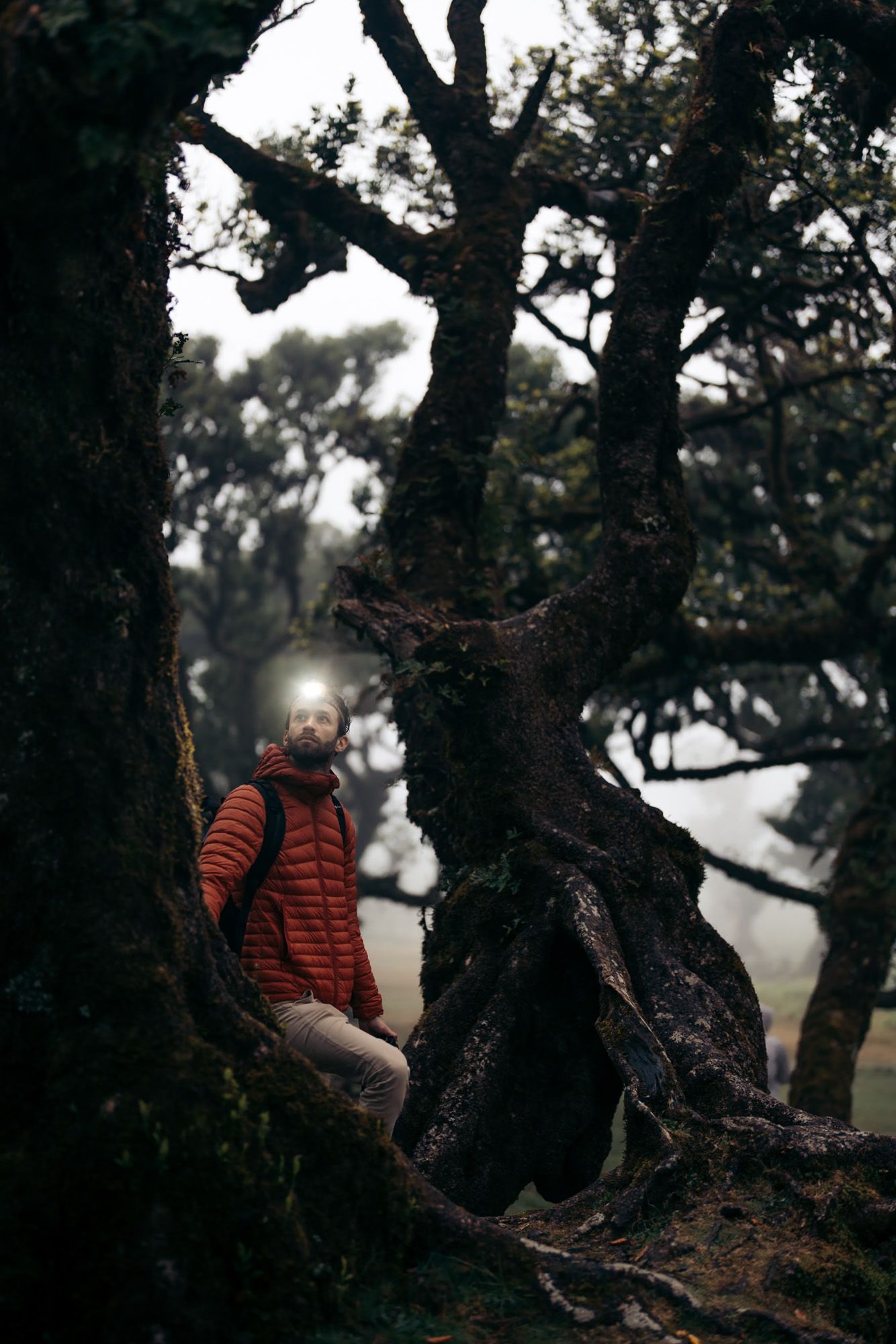 Randonneur dans la foret de Fanal sous la brume à Madère
