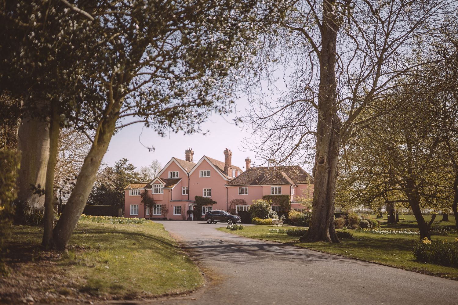 Large pink English country house with multiple chimneys and driveways viewed through overhanging tree branches.