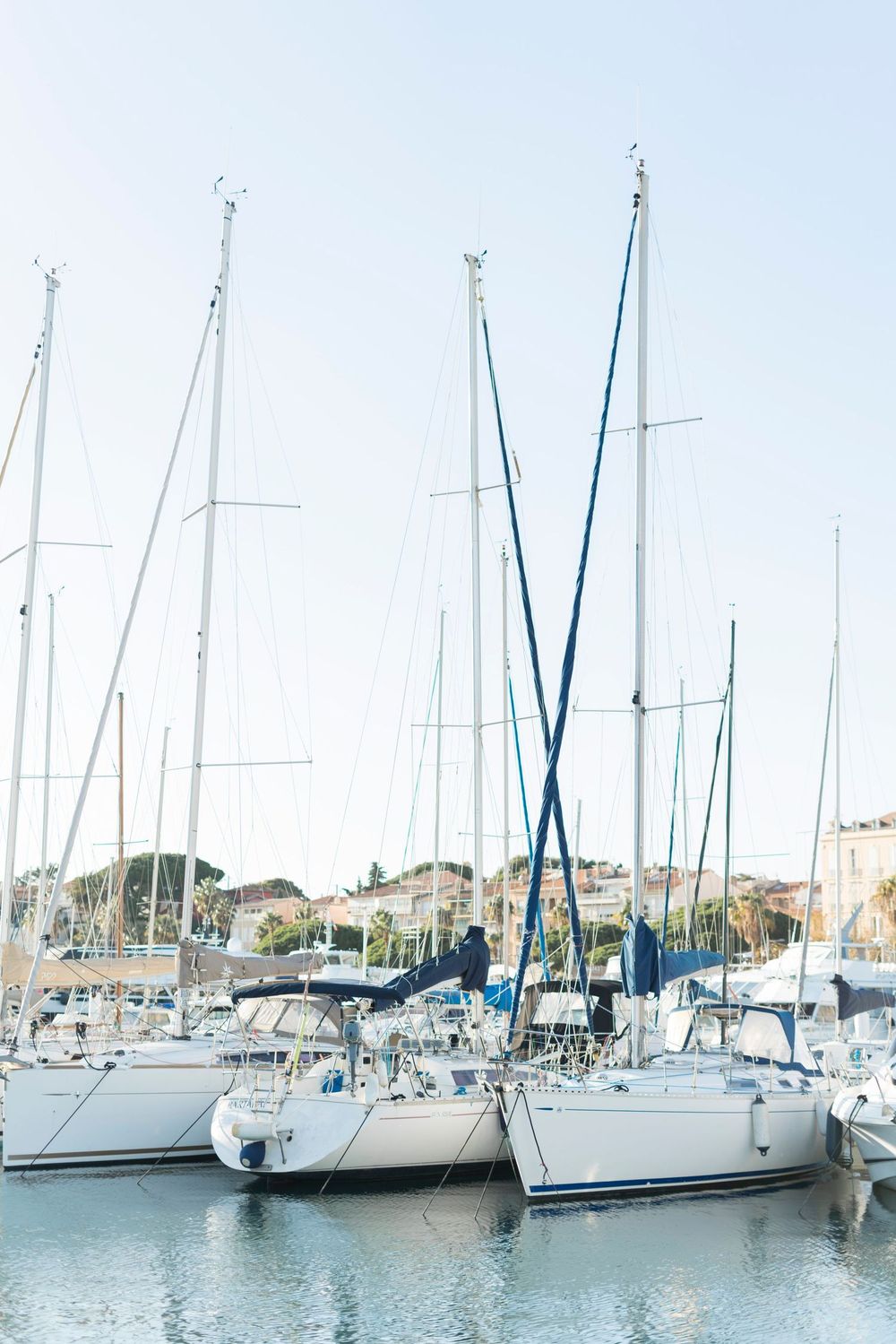 Several white sailboats moored in a peaceful marina with tall masts against a coastal backdrop.