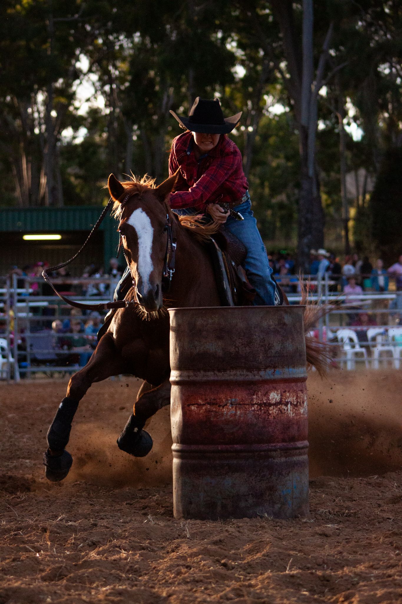 Mt Morgan rodeo 25'