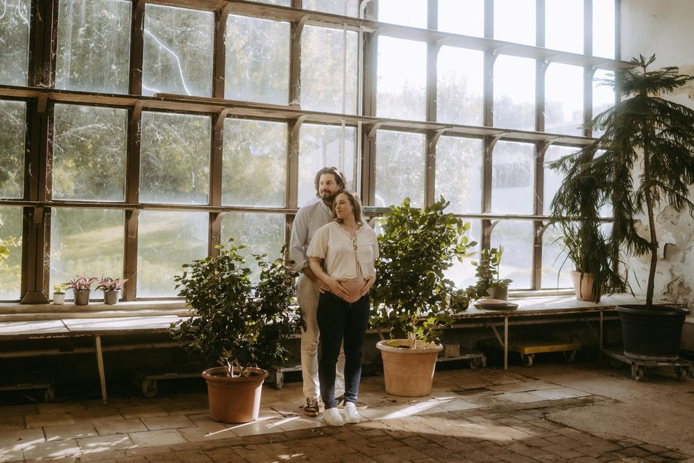 Sunlit greenhouse interior with tall windows and natural light streaming in.