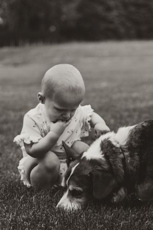 Black and white photo series showing a small child and a dog playing together on grass in a sweet interaction.