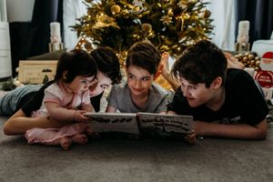 Christmas mini werribee
