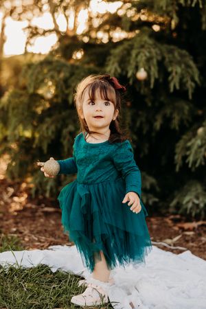 Christmas mini sessions Werribee