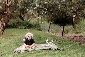 Christmas mini werribee