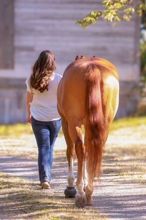 A woman in jeans and white shirt walks alongside a chestnut horse with long tail on a sunlit path.