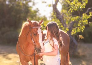 A horse and rider enjoy a peaceful moment in a sun-dappled field during golden hour.