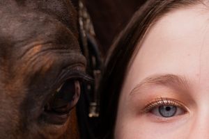 A close-up split composition showing a horse's dark brown eye on the left and a human eye on the right.