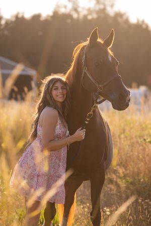 A dark horse and rider stand in a golden sunlit meadow during sunset creating a dreamy summer atmosphere.