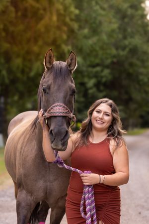 A brown horse with a purple halter stands on a gravel path surrounded by autumn trees.