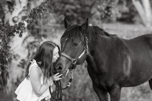 A black horse and person share a tender moment outdoors with sunlight filtering through trees in the background.