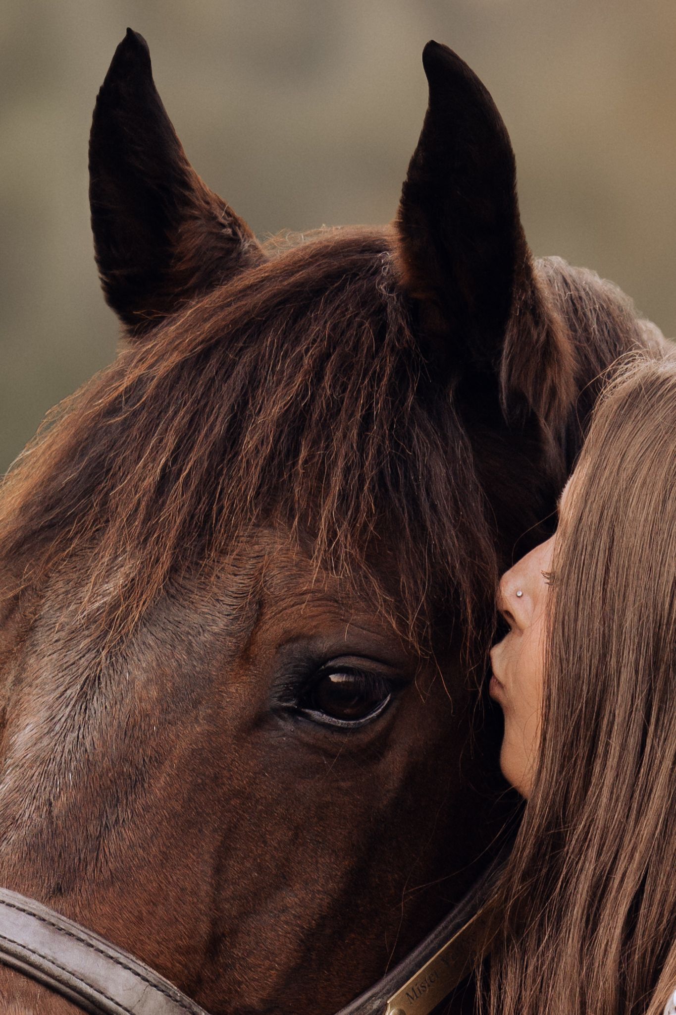 Close-up sequence showing a brown horse's head and eye with someone gently leaning against its neck.