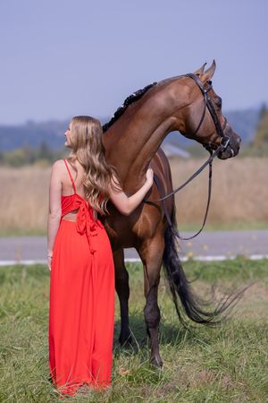 A brown horse stands in a grassy field next to someone wearing a flowing red dress on a sunny day.