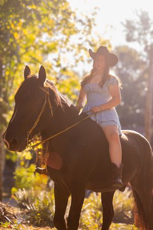 Silhouetted figure on horseback against golden sunlit trees in autumn during a scenic sunset trail ride.