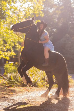 A horse and rider perform a series of graceful movements in golden sunlight filtering through autumn trees.