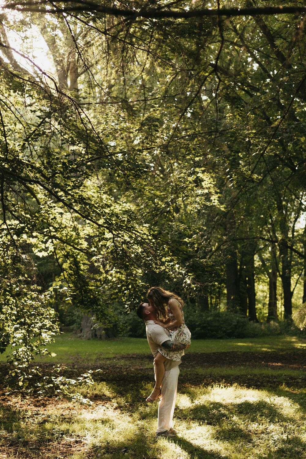 Sunlit forest scene with dappled light filtering through trees creating a magical woodland atmosphere in summer.