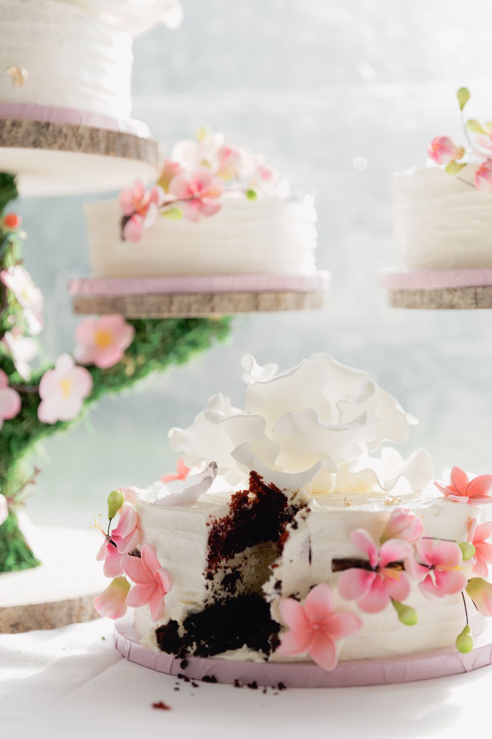 Elegant wedding cake display resembling a cherry blossom tree at an Okanagan wedding, delicate details captured by Kristina.