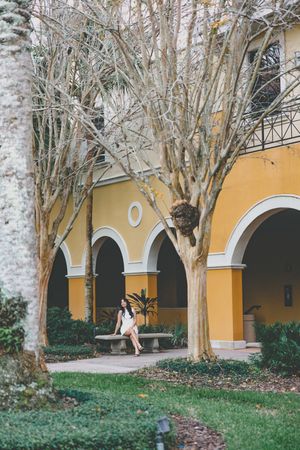 Architectural view of yellow building with arches and bare trees.