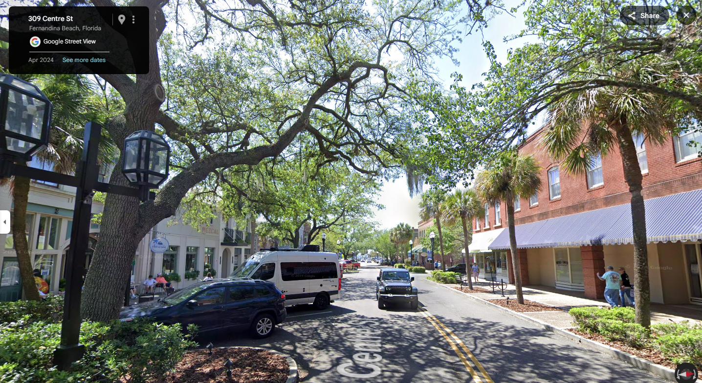 Tree-lined downtown street with shops and palm trees in a charming Florida coastal city.
