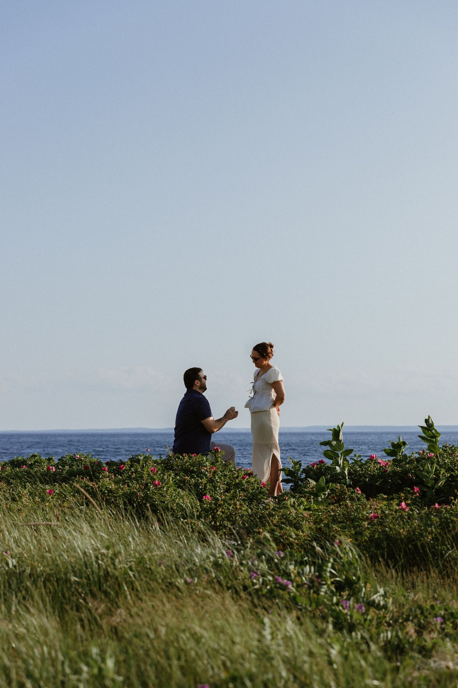 A romantic proposal scene on a coastal cliff with ocean views and wildflowers.