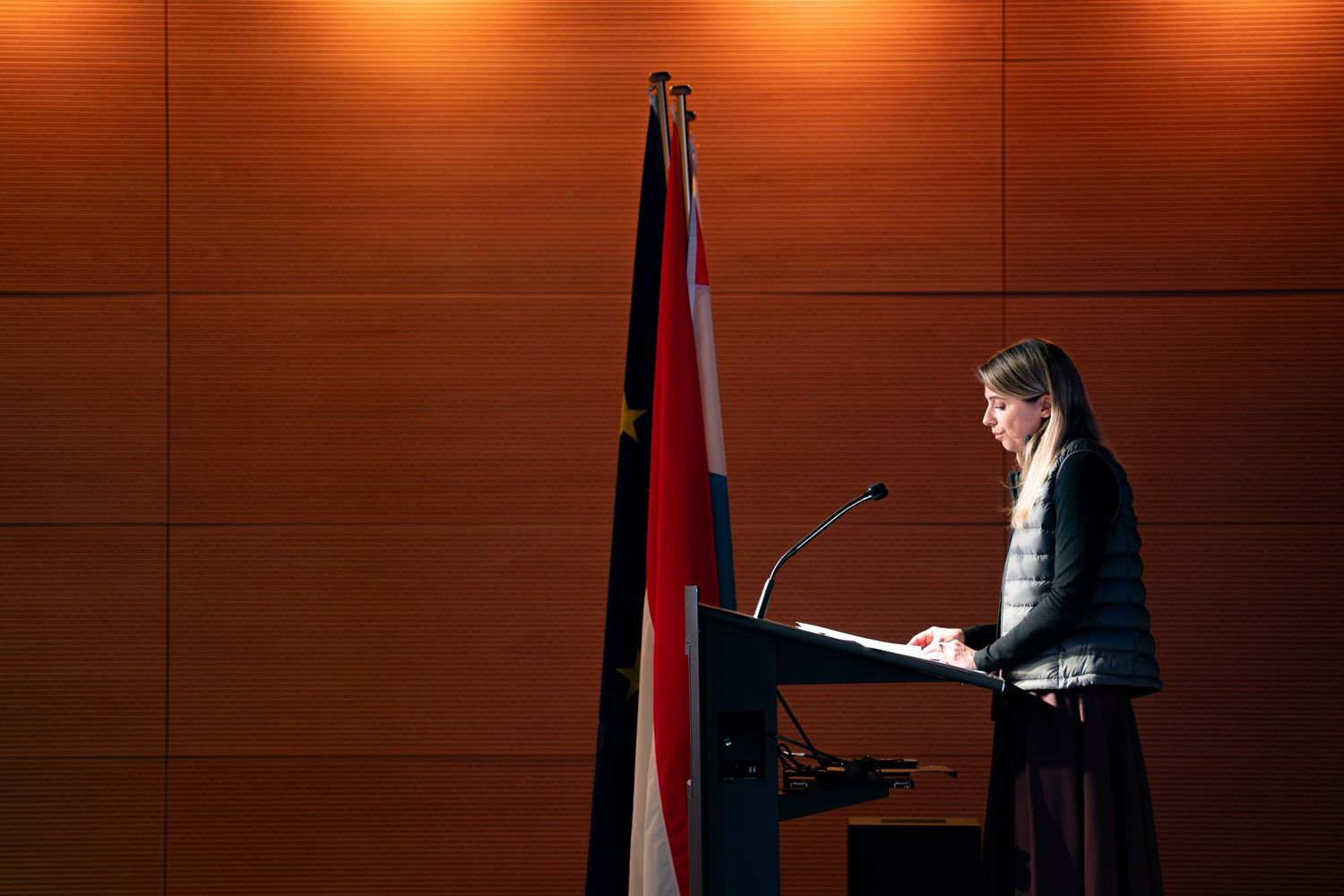Woman speaking at podium beside flag in warmly lit conference room.