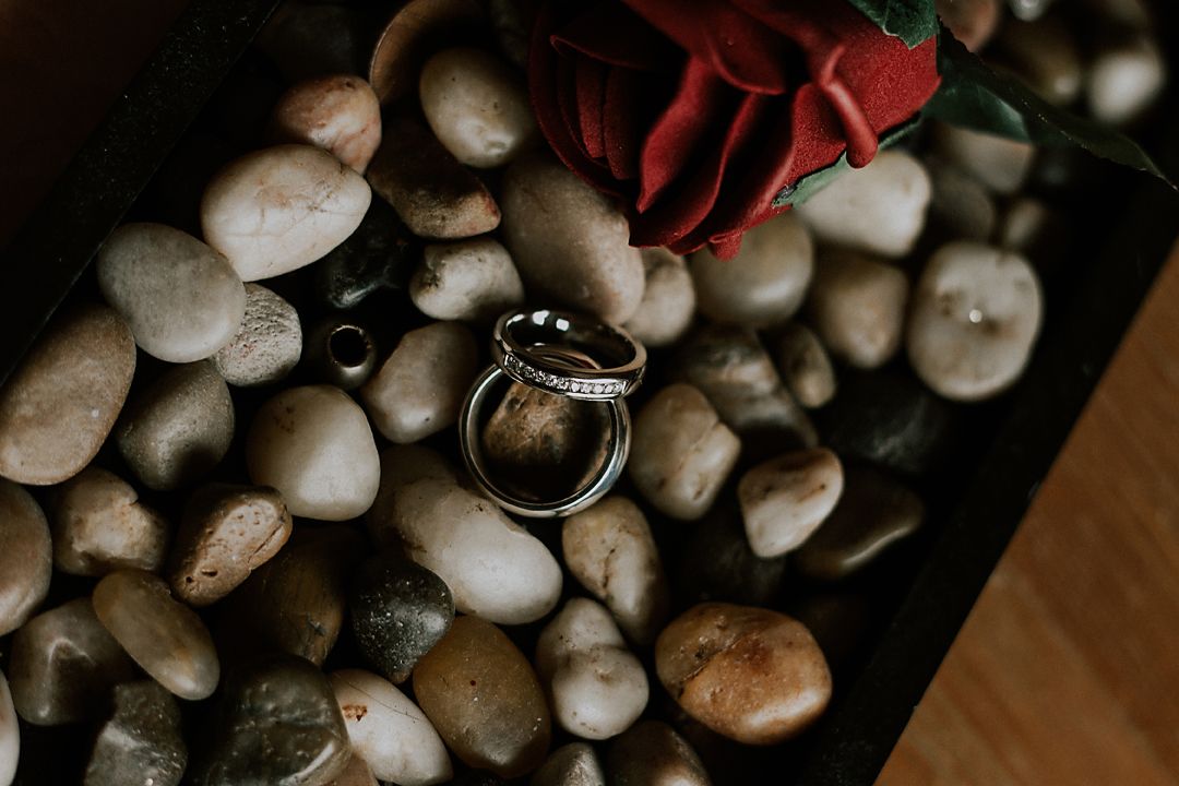 Wedding rings rest on a bed of stones and red flower in moody lighting.
