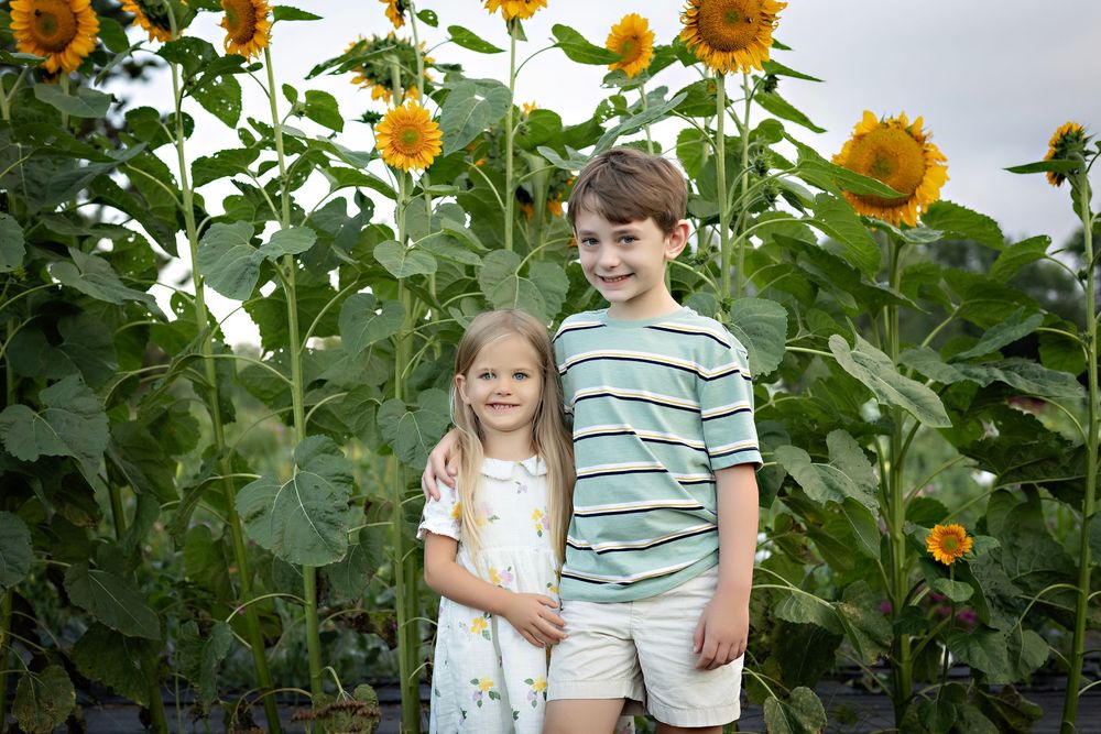 siblings smiling together among sunflowers during summer mini sessions at First Roots Flower Farm in Oconomowoc, Wisconsin.