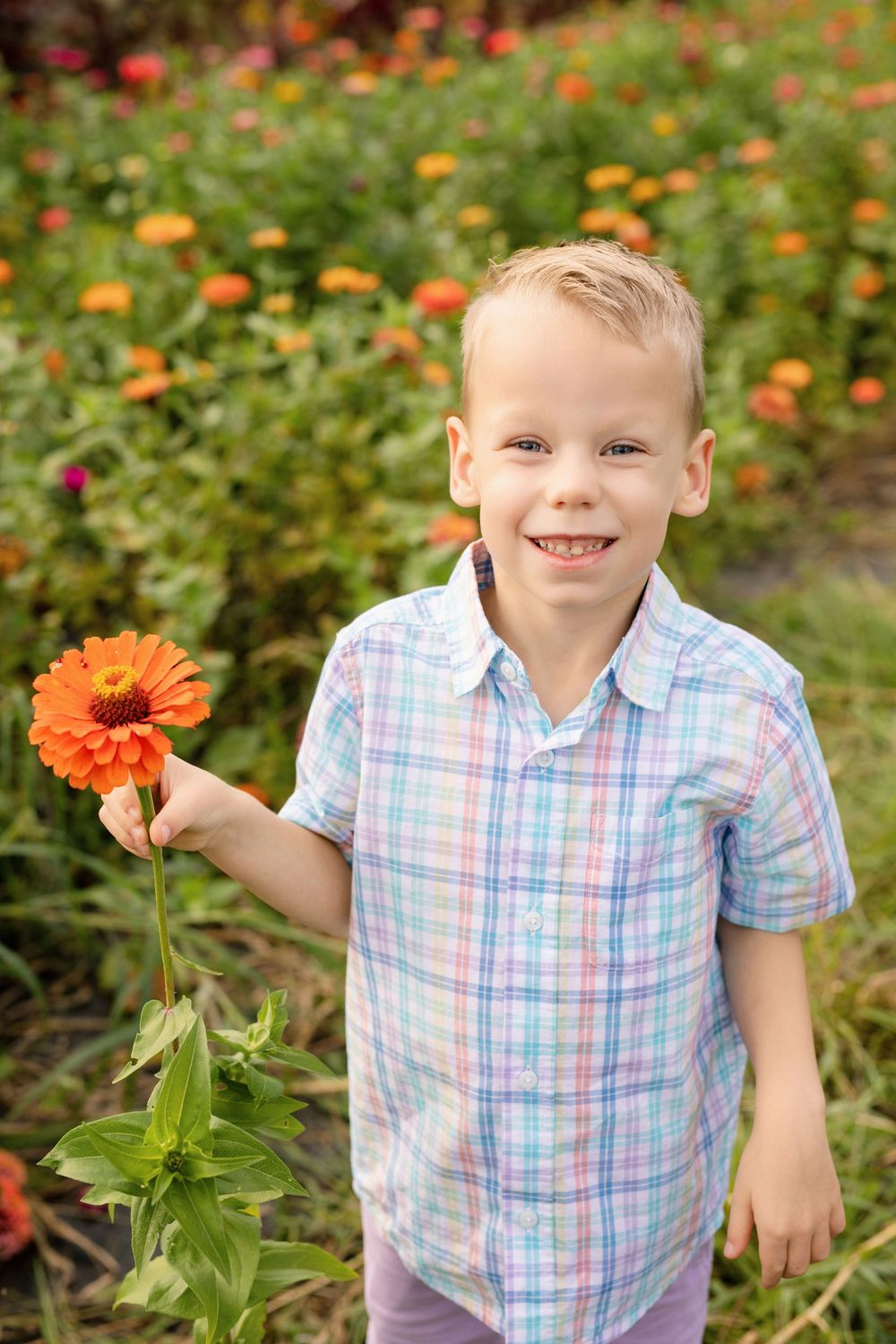 Parents and children picking flowers together during U-pick family mini sessions at First Roots Flower Farm in Oconomowoc, Wisconsin.